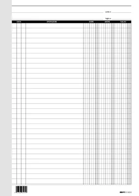 Image de EDIPRO – E6253 – 100 feuilles repositionnables, pour coller/fixer, format 29,7 x 21 cm, avec 4 trous