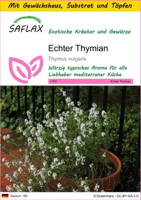 Produktbild von SAFLAX Anzucht Set - Echter Thymian - Thymus vulgaris - 200 Samen - Mit Mini-Gewächshaus, Anzuchtsubstrat und 2 Töpfen