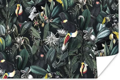 Produktbild von MuchoWow® Poster Blumen - Tukan - Blätter 180x120 cm - Fotoplakat