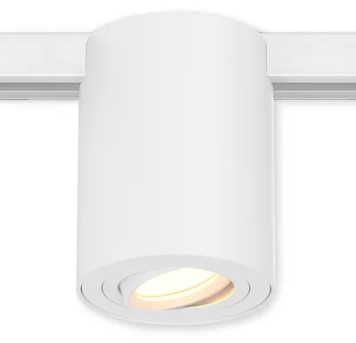 Zdjęcie produktu dla Oprawa sufitowa Ledvion, montaż na szynie, jednoobwodowa, biała, jednoźródłowa, bez żarówki GU10