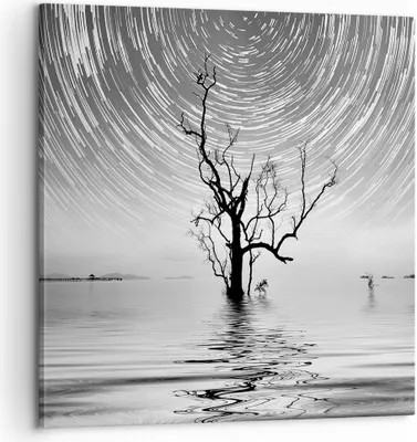 Produktbild von Bild auf Leinwand - Leinwandbild - Einteilig - Schwarzweiß Baum See - 60x60cm - Wand Bild - Wanddeko - Wandbilder - Leinwanddruck - Bilder - Wanddekoration - Leinwand bilder - Wandbild - AC60x60-4253