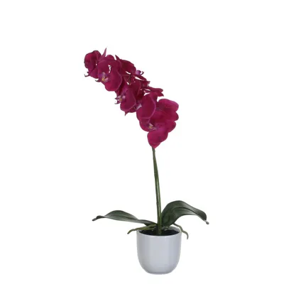 Obrázok produktu pre Umelá kvetina phalaenopsis 60 cm fialová
