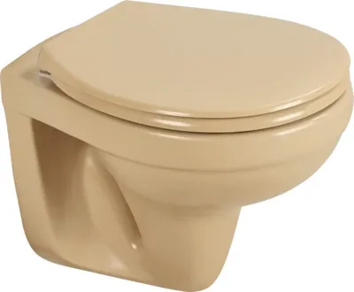 Immagine prodotto di WC sospeso con cassetta a scarico profondo, senza bordo di scarico, beige opaco, senza sedile 1280627