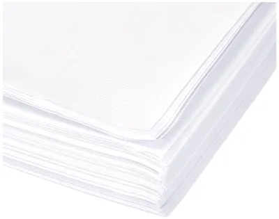 Productafbeelding van PAPSTAR  12555 PAPSTAR Papier-Tischsets, 300 x 400 mm, weiß