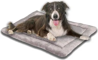 Produktbild von Famanu Hundekissen M grau 70x50 cm allergiefreundlich waschbar weiche Stoffbezug - Hundematte Hundebett mittelgroße Hunde