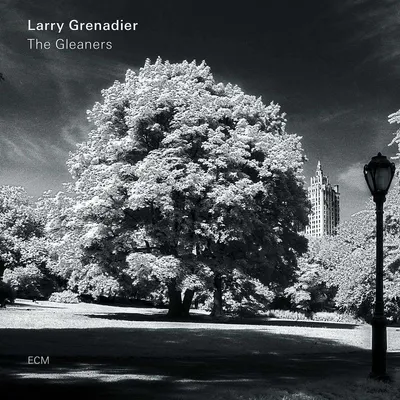 Obrázok produktu pre Larry Grenadier: The Gleaners