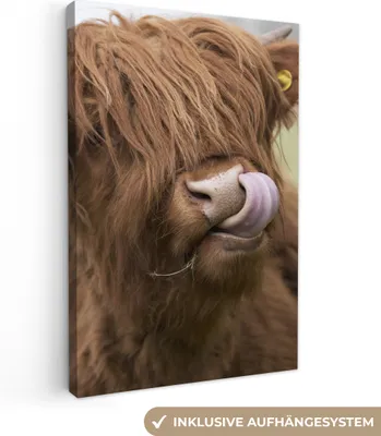 Produktbild von MuchoWow® - Leinwandbilder - Schottischer Highlander - Braun - Tiere, Wandbild, Wanddeko Bilder Wohnzimmer, 40x60 cm