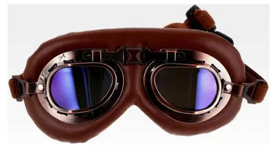Produktbild von Hunde-Sonnenbrille: Faltbare Haustierbrille mit verstellbaren Riemen für Outdoor-Aktivitäten