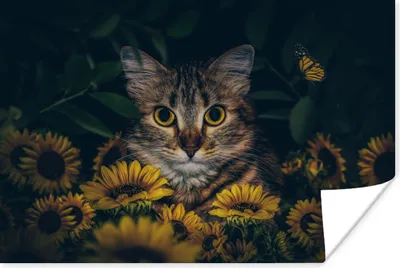 Produktbild von MuchoWow® Poster Katze - Gelb - Blumen - Botanisch 120x80 cm - Bilder