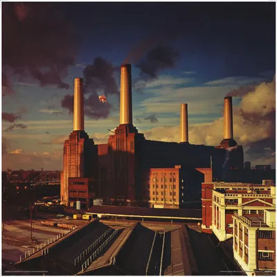 Obrázok produktu pre Pink Floyd – Animals – 12-palcový plagát s obalom albumu – 31 x 31 cm – plagát
