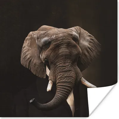 Produktbild von MuchoWow® Poster Porträt - Elefant - Kunst 100x100 cm - Babyzimmer