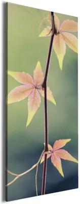 Produktbild von Wallario Premium Leinwandbild Herbstblume in Größe 60 x 150 cm