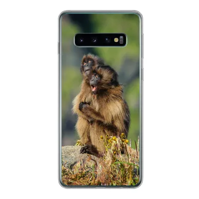 Produktbild von MuchoWow® Handyhülle Schutzhülle Hülle für Samsung Galaxy S10 Affen - Pflanzen - Steine - Familie Silikon Softcase Handy Hülle - Handytasche