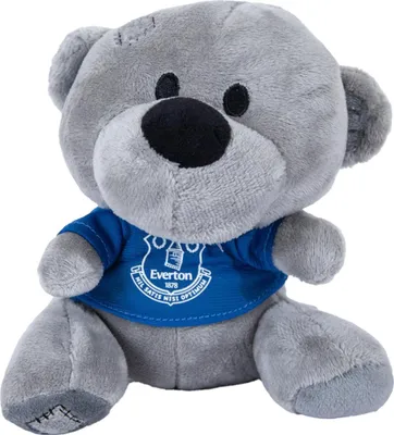 Obrázek produktu pro Everton FC - Medvídek TA13877 (jedna velikost) (tmavě modrá/bílá)