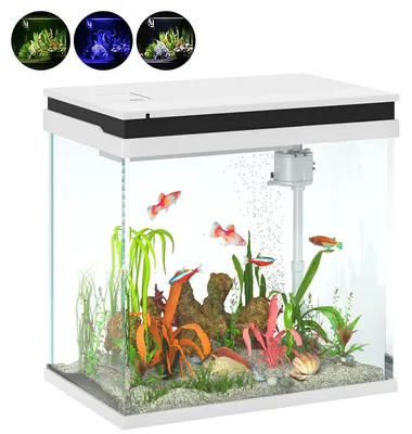 Immagine prodotto di SunvelloAcquario per Pesci Rossi 26L con Luci LED, Sistema di Filtraggio e Pompa d'Acqua, 38x26x38 cm, Bianco