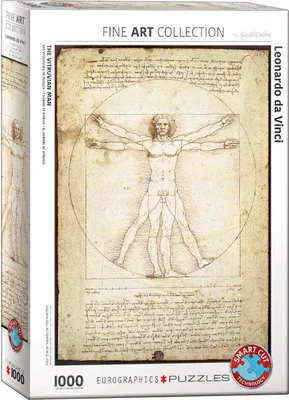 Immagine prodotto di puzzle da 1000 pezzi - Puzzle - Leonardo da Vinci - Uomo vitruviano + set di 3 accessori per puzzle DeLuxe