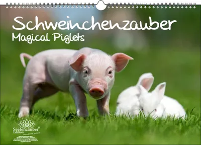 Produktbild von Schweinchenzauber DIN A3 Immerwährender Kalender Schweinchen - Seelenzauber