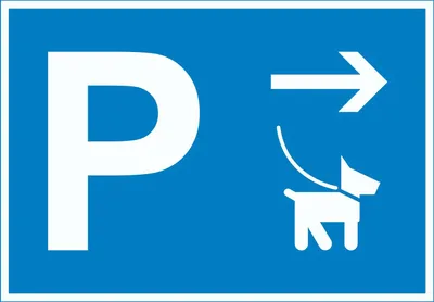 Produktbild von Hundeparkplatz Schild mit Richtungspfeil rechts waagerecht A3 (297x420mm)