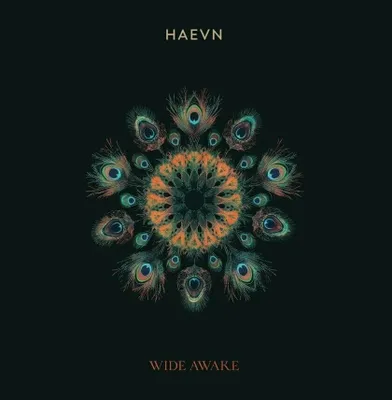 Zdjęcie produktu dla HAEVN - Wide Awake (LP)