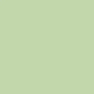 Produktbild von Clairefontaine Trophee 1882C Color Hellgrün 80g/m² DIN-A3 - 500 Blatt