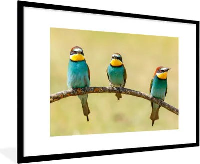 Produktbild von MuchoWow® Gerahmtes Poster Vögel - Tiere - Bienenfresser 90x60 cm - Poster mit Schwarzem Bilderrahmen Wandposter Rahmen Foto Bilder - Wanddekoration - Fotos