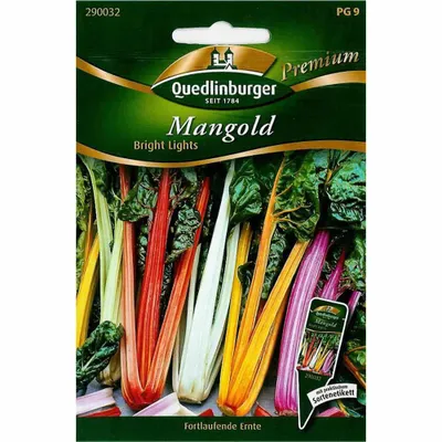 Produktbild von Quedlinburger Saatgut - Mangold Bright Lights - Samen - 290032