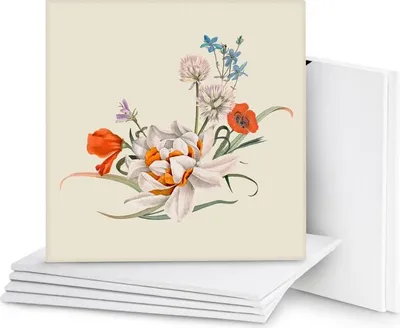 Produktbild von Belle Vous 7 Stück Leinwände zum Bemalen 40x40 cm - Kleine Leinwand Ölfarben - Leinwand zum Bemalen Set Geeignet für Acryl- und Ölmalerei sowie zum