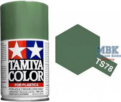 Produktbild von TS-78 Feldgrau 2 matt 100ml 300085078