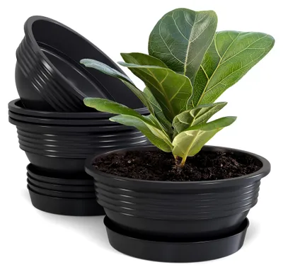 Produktbild von Blumenschalen-Set mit Untersetzern in Anthrazit, 5 Stück, 25 cm Durchmesser