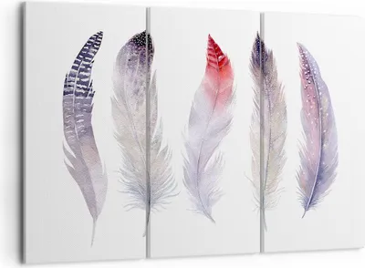 Produktbild von Bild auf Leinwand - Leinwandbild - Feder Tier Vogel Komposition - 105x70cm - Wand Bild - Wanddeko - Leinwanddruck - Bilder - Kunstdruck - Wanddekoration - Leinwand bilder - Wandkunst - CE105x70-2951