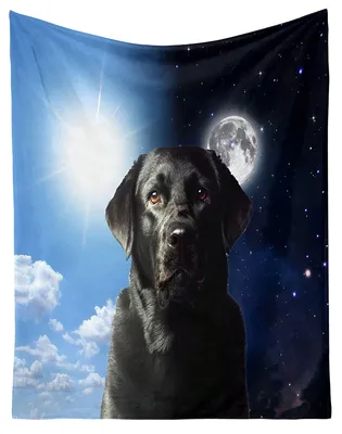 Zdjęcie produktu dla Mikro pluszowy ciepły koc 150x200 cm - Labrador/Dzień i noc