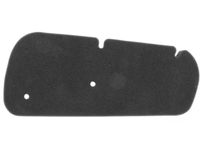 Immagine prodotto di Inserto filtro aria per Honda Pantheon 125/150cc 2T