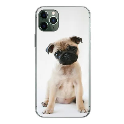 Produktbild von MuchoWow® Handyhülle Schutzhülle Hülle für iPhone 11 Pro Max Hund - Haustiere - Porträt Silikon Softcase Handy Hülle - Schutz