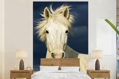Produktbild von MuchoWow® Fototapete für Wohnzimmer oder Schlafzimmer Wandtapete Vinyl Motivtapete Pferd in der Camargue - 170x260 cm - Wohnzimmertapete