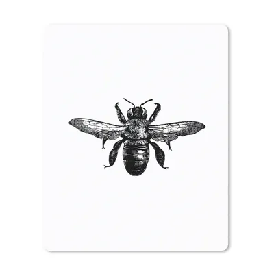 Produktbild von MuchoWow® Mauspad Mousepad Biene - Insekt - Vintage - Schwarz und weiß 30x40 cm - Mousepads - Maus Mat - Pad - Mausunterlage - Mausmatten