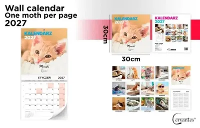 Obrázok produktu pre Nástenný kalendár na rok 2027, formát 30x30 cm, motív: mačky – Cervantes