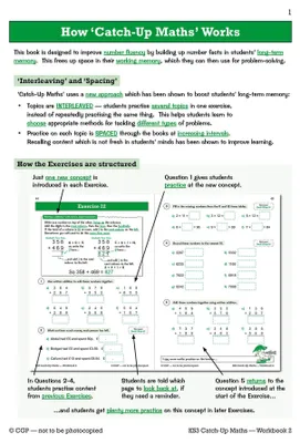 Obrázok produktu pre KS3 Maths Catch-Up Workbook 2 (with Answers)