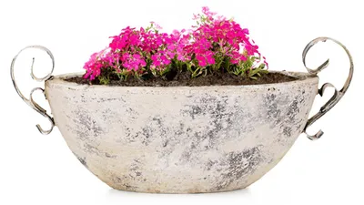 Immagine prodotto di Ciotola in Vetroceramica per piante da esterno ovale decorativa beige 34 cm