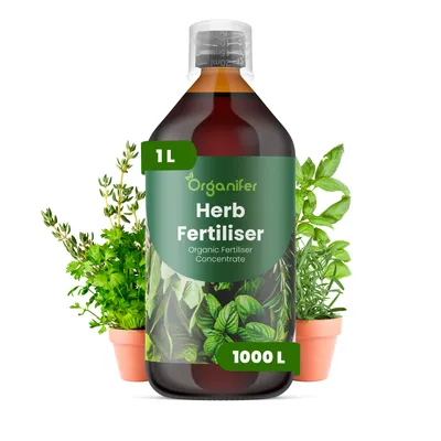 Produktbild von Kräuter Flüssigdünger 1L – 3-4-3 NPK – Flüssig-Pflanzendünger für Kräuterpflanzen – Organifer