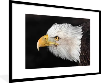 Produktbild von MuchoWow® MuchoWow® Gerahmtes Poster Adler - Vogel - Schnabel - Augen 90x60 cm - Poster mit zchwarzem Bilderrahmen - Wanddekoration - Fotos