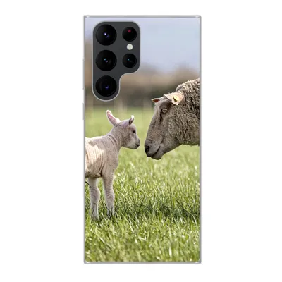 Produktbild von MuchoWow® Handyhülle Schutzhülle Hülle für Samsung Galaxy S22 Ultra Schafe - Gras - Lamm Silikon Softcase Handy Hülle - Abbildung