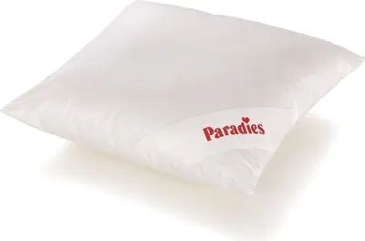 Produktbild von Paradies Kopfkissen SOFTY TOP BL 40x40 cm weiß Daunenkissen