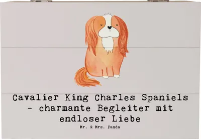Produktbild von Mr. & Mrs. Panda truhe holz Cavalier King Charles Spaniel Begleiter 22 x 15 cm - Grau Pastell - Geschenk, Kiste, Hund, Hunderassen, Hunderasse, Charakter, loyal, fotobox