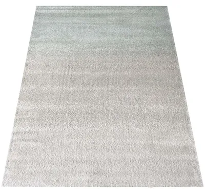 Produktbild von Teppichstück LADON 05 mehrfarbig 80 x 150 cm