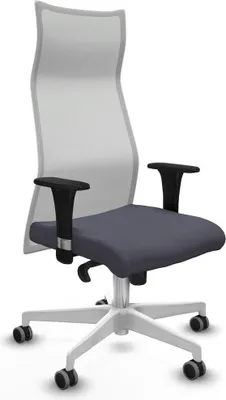 Produktbild von Bürostuhl Piqueras y Crespo B1C026G Dunkelgrau