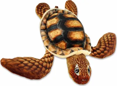 Produktbild von Braune Plüschtier Schildkröte - ca. 28 cm