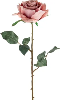 Produktbild von Fink ROSE, Kunstblume, Kunstfasern, rose, L. 8 cm, B. 8 cm, H. 66 cm Höhe: 66.00 cm Breite: 8.00 cm Tiefe: 8.00cm  180374