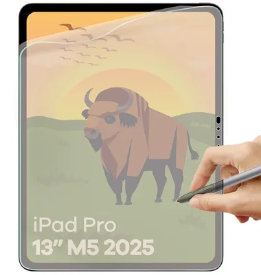 Produktbild von Matte Folie für iPad Pro 13" M5 2025, Bizon Tab Film Sun, 1 Stück