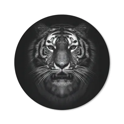 Produktbild von MuchoWow® Mauspad Mousepad Tiger - Tiere - Schwarz - Weiß - Porträt - Wild 20x20 cm - Mousepads - Maus Mat - Pad - Mausunterlage - Schreibtischmatte