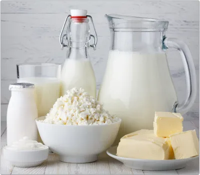 Produktbild von Spritzschutz Herdabdeckplatte Schneidebrett aus Glas verschiedene Milchprodukte 1-Teilig (60x52cm)